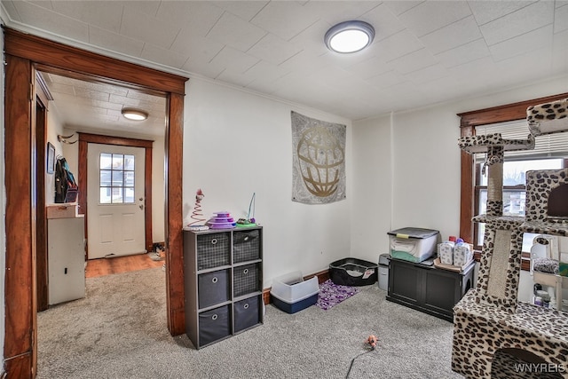 misc room featuring crown molding and carpet floors