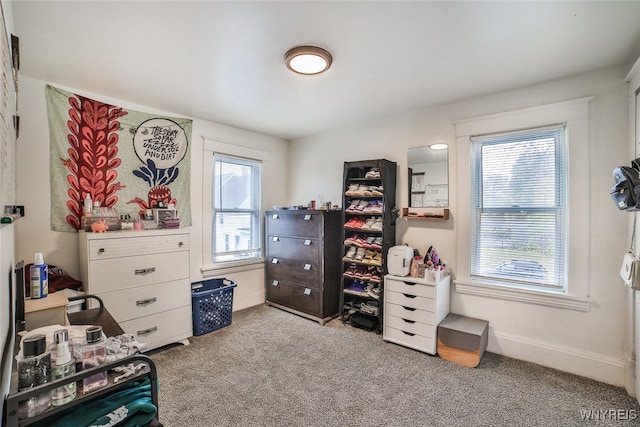 interior space with multiple windows and light carpet