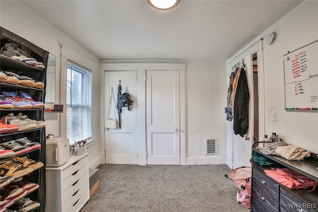 walk in closet with light carpet