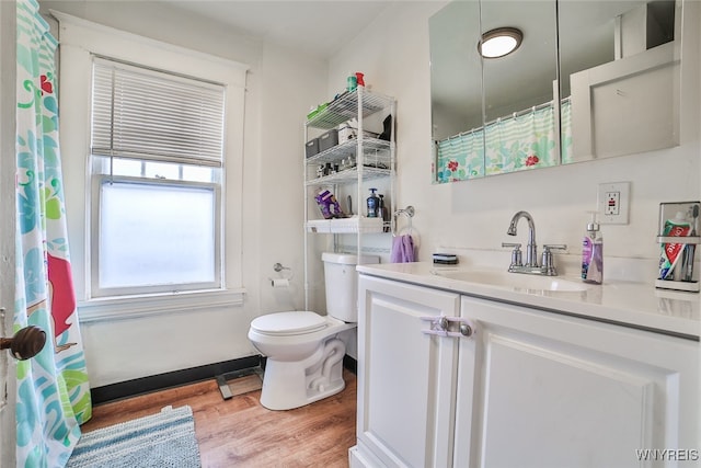 bathroom featuring vanity, hardwood / wood-style flooring, and toilet