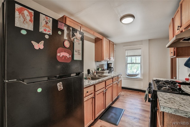 kitchen with light hardwood / wood-style flooring, black appliances, and sink