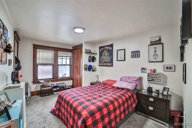 bedroom with crown molding and carpet floors