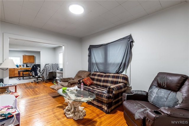 living room with light wood-type flooring