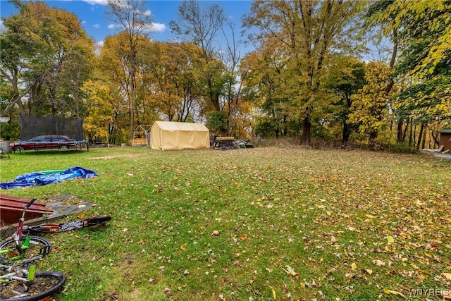 view of yard featuring a shed and a trampoline