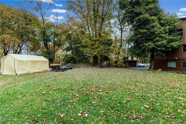 view of yard featuring a storage unit