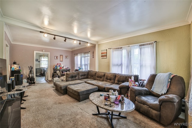 living room featuring rail lighting, crown molding, and carpet floors