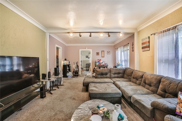 living room with track lighting, carpet flooring, and crown molding