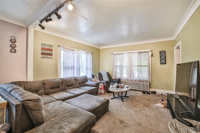 living room with ornamental molding, track lighting, radiator heating unit, and carpet