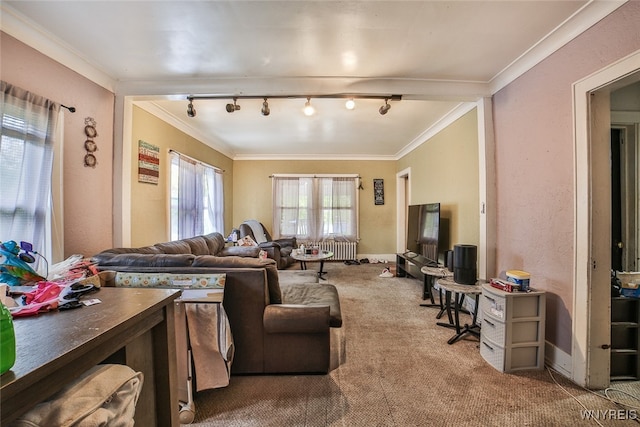 carpeted living room featuring rail lighting and crown molding