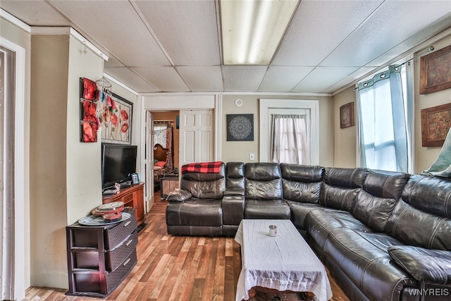 living room featuring hardwood / wood-style floors