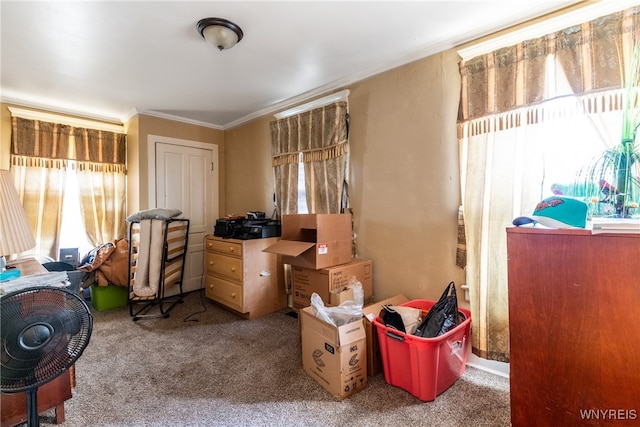 interior space featuring carpet flooring and crown molding