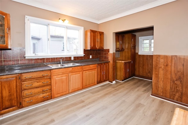 kitchen with light wood-type flooring, crown molding, wooden walls, and sink