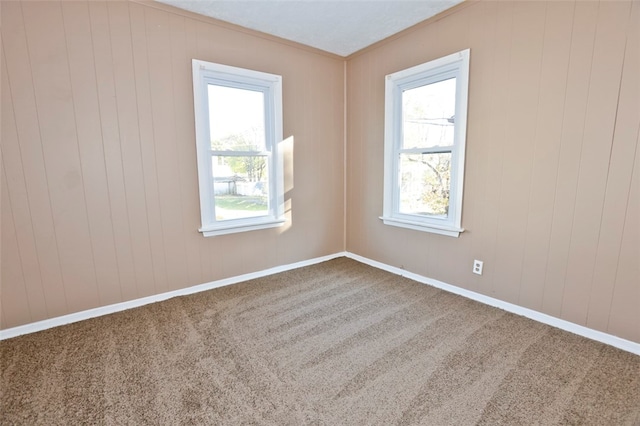 empty room with carpet flooring, a textured ceiling, and wood walls