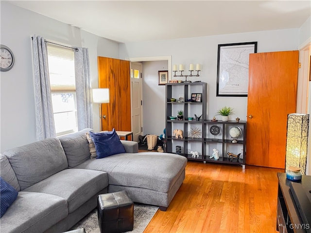 living room featuring hardwood / wood-style flooring