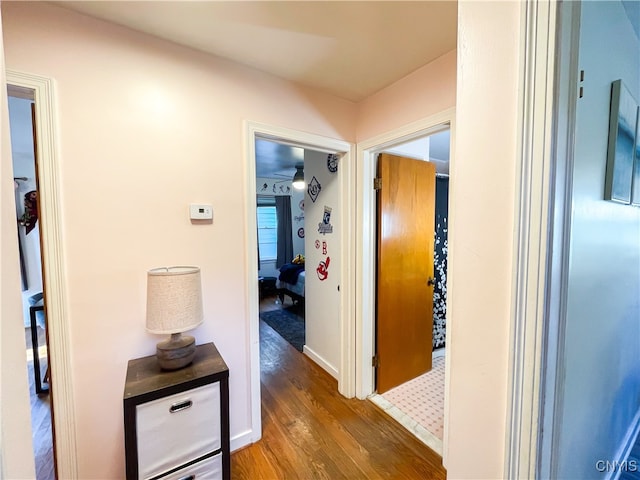 hallway featuring dark wood-type flooring