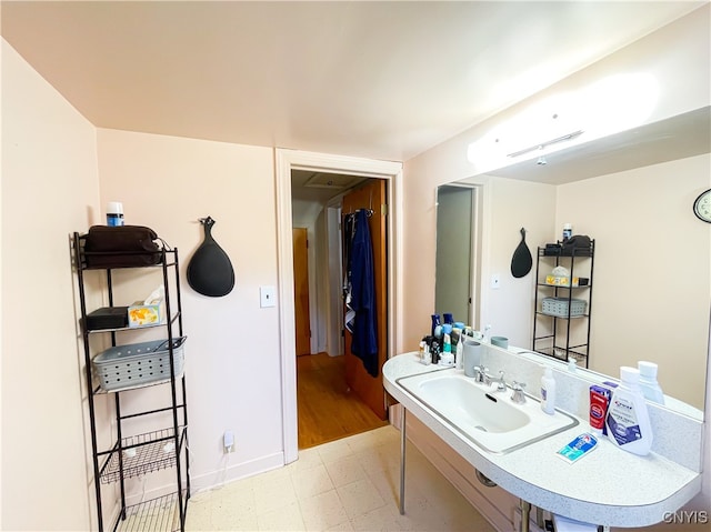 bathroom with wood-type flooring and sink