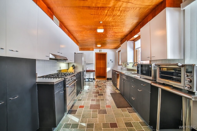 kitchen with white cabinetry, sink, appliances with stainless steel finishes, tasteful backsplash, and wood ceiling