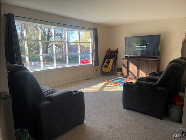 living room featuring carpet flooring