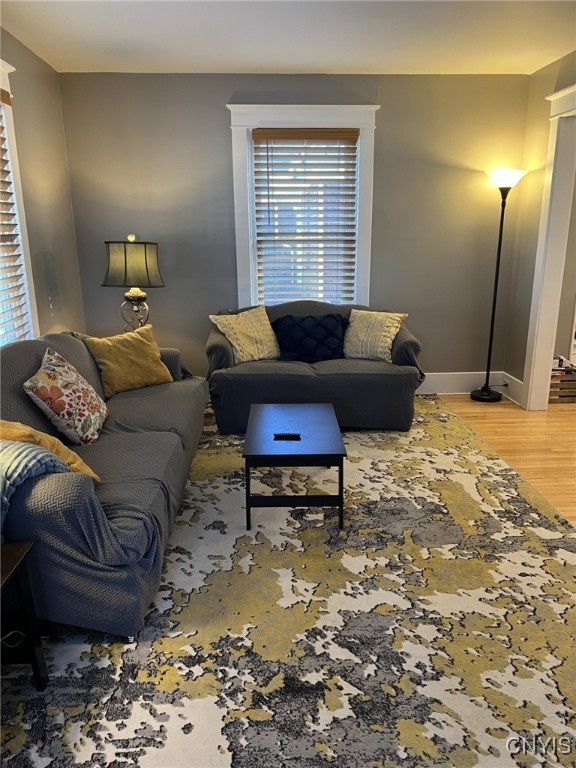 living room featuring wood-type flooring