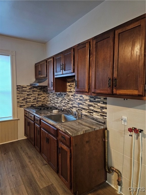 kitchen featuring dark brown cabinetry, decorative backsplash, dark hardwood / wood-style flooring, and sink