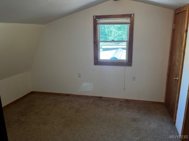 bonus room featuring carpet flooring and vaulted ceiling