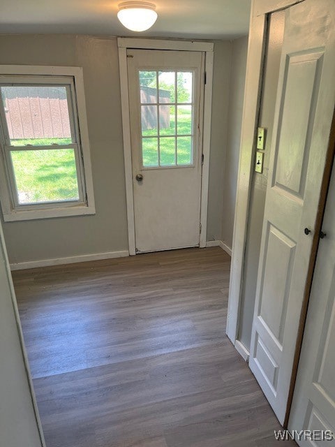 doorway with hardwood / wood-style floors