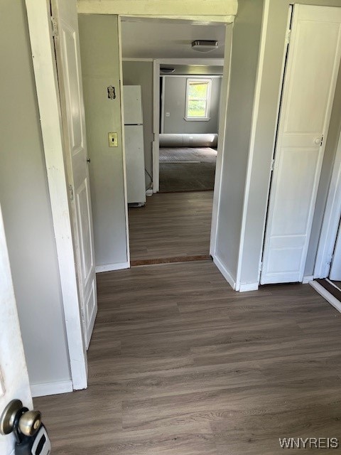 hall with dark wood-type flooring