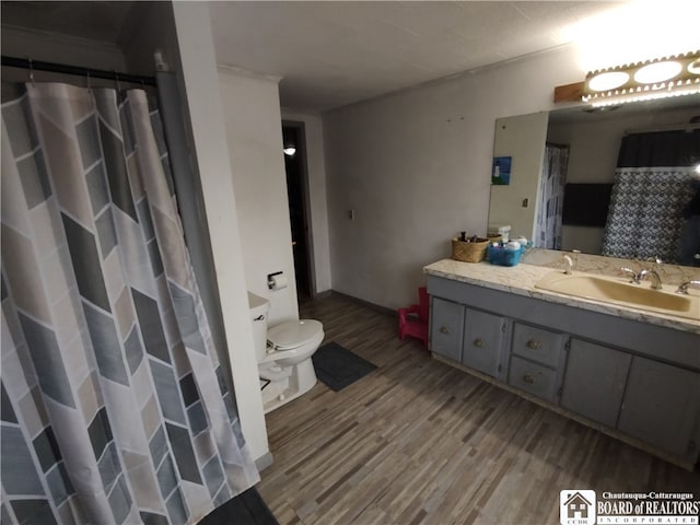 bathroom featuring hardwood / wood-style flooring, vanity, and toilet