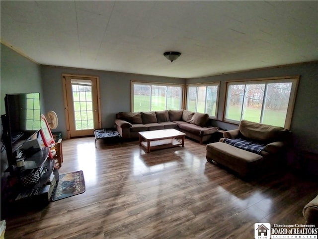 living room with hardwood / wood-style flooring