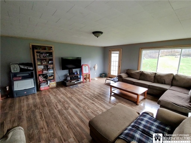 living room with hardwood / wood-style flooring