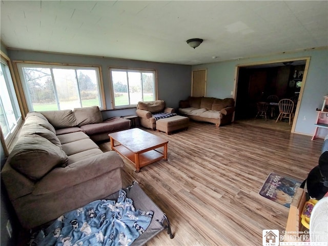 living room with light wood-type flooring