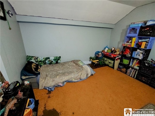 bedroom with lofted ceiling