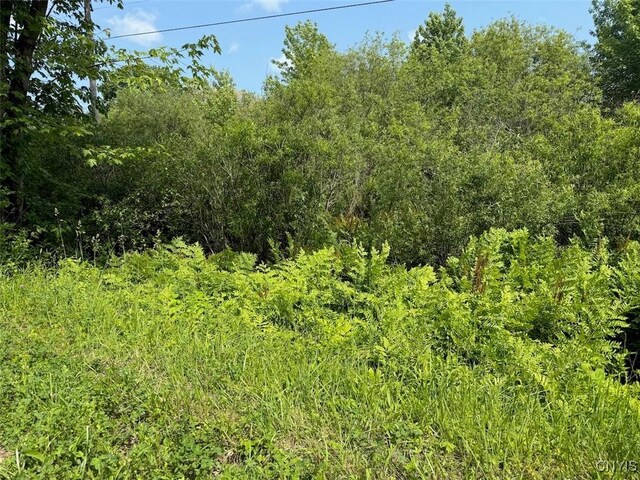 Cobb Dr, Richland, NY 13083 - photo 2