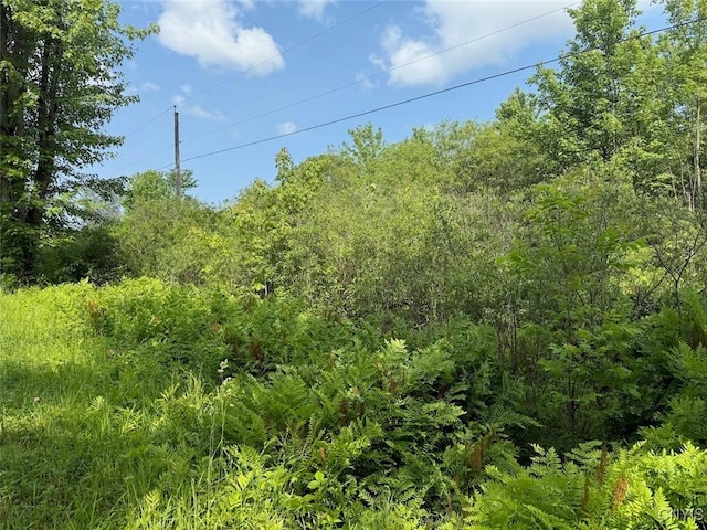 Cobb Dr, Richland, NY 13083 - photo 3