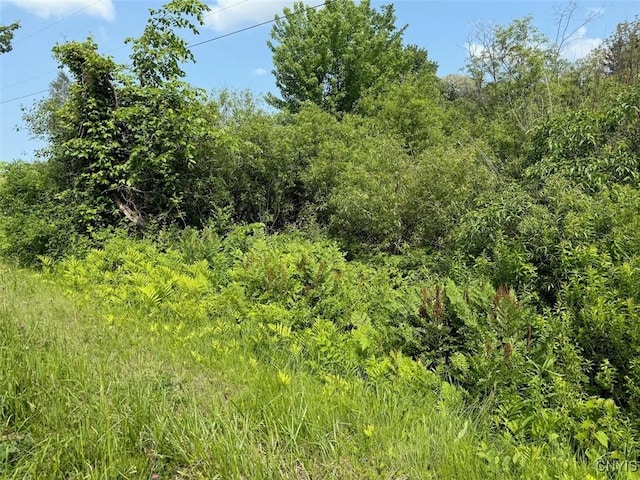 Cobb Dr, Richland, NY 13083 - photo 7