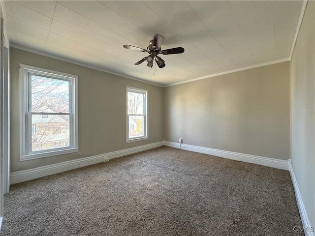 unfurnished room featuring ornamental molding, ceiling fan, and carpet floors