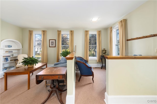 sitting room with light carpet