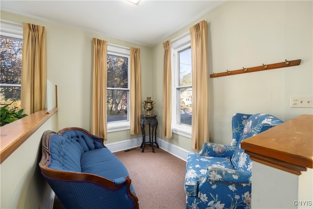 sitting room with carpet flooring and a healthy amount of sunlight