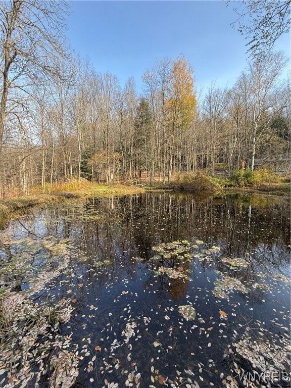 view of landscape