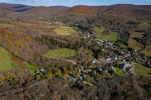 drone / aerial view featuring a mountain view