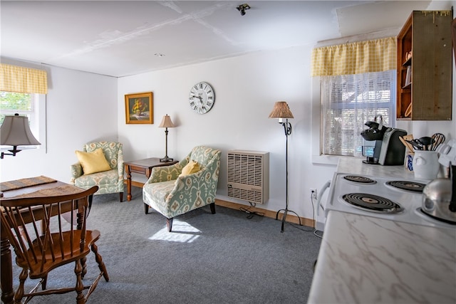 sitting room featuring carpet and heating unit