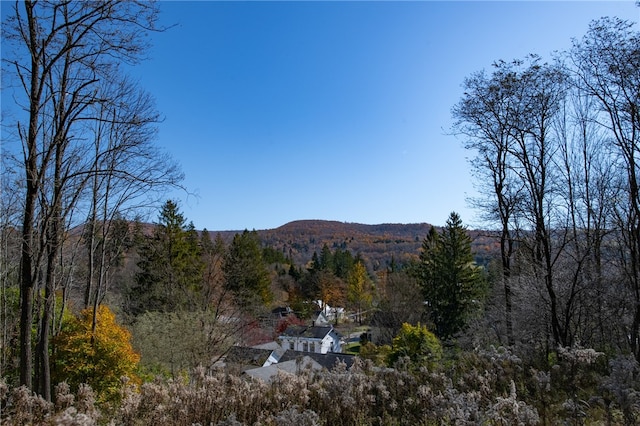 property view of mountains