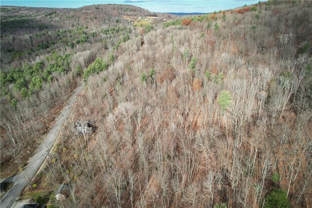 1188 Braybrook Rd, Chemung, NY 14825 - photo 3