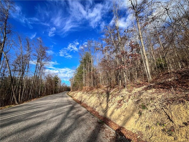 1188 Braybrook Rd, Chemung, NY 14825 - photo 4
