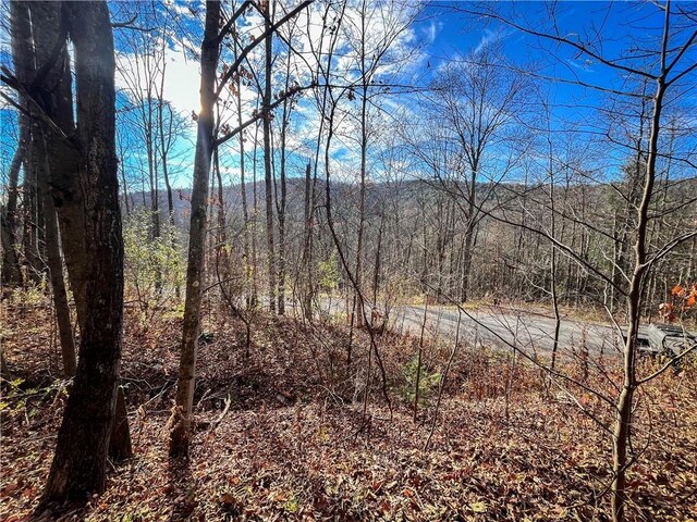 1188 Braybrook Rd, Chemung, NY 14825 - photo 7