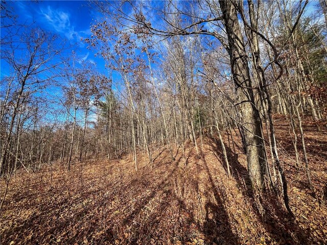 1188 Braybrook Rd, Chemung, NY 14825 - photo 8