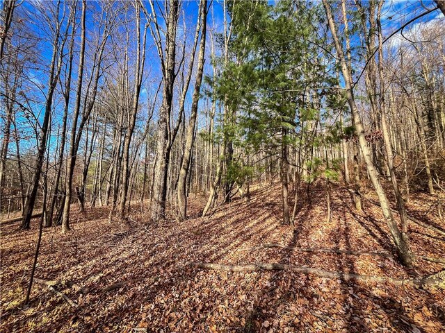 1188 Braybrook Rd, Chemung, NY 14825 - photo 9