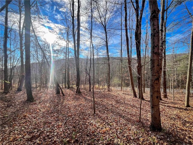 1188 Braybrook Rd, Chemung, NY 14825 - photo 10