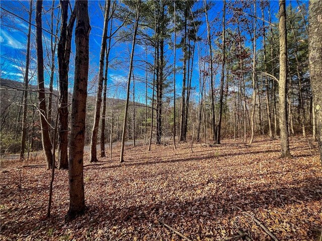 1188 Braybrook Rd, Chemung, NY 14825 - photo 17
