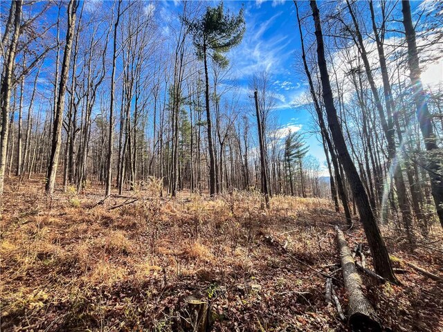 1188 Braybrook Rd, Chemung, NY 14825 - photo 19